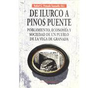 DE ILURCO A PINOS PUENTE: Poblamiento, Economia y Sociedad de Un Pueblo de La Vega de Granada: 39 (ENSAYO)