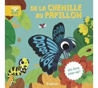 De la chenille au papilon | Aa. Vv.