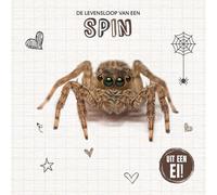 De levensloop van een spin (Uit een ei!)