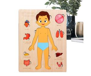 De Modelo De Cuerpo Humano: Madera, Anatomía Humana, Tablero De Aprendizaje De Anatomía Multicapa | Juego De Cognitivo De Ciencia para Niños, Juguete Didáctico De Esqueleto D