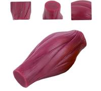 De Músculo De Lb Réplica Realista Figura muscular Para Enseñanza y Demostración Sin Base