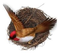 de pájaro Hecho a Mano - Cama de Periquito Tejida pequeña con Base Plana, Accesorio de Jaula | Multiusos, polivalente, cómodo Protector para Palomas y Loros para pájaros, Mascotas y Tranquilidad