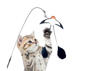 de para Gatos, diseño de Golondrinas, para Gatos con Cuerda y Campana, para Entrenar después de Comer contra el aburrimiento para la estimulación Mental en la casa, salón