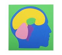 De Partes del Cuerpo, con Diseño De Experimento De Ciencias del Cerebro, 16x15,8 Cm, Tablero De Aprendizaje De Anatomía Humana De Bricolaje, Kit De Modelo De Órgano Educativo, Actividad I