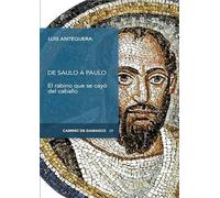De Saulo a Paulo: El rabino que se cayó del caballo: 43 (CAMINO DE DAMASCO)