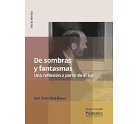 De sombras y fantasmas. Una reflexión a partir de El Sur: 2 (Paso de manivela)