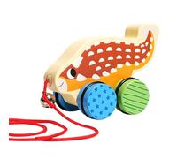 de tiro de madera - Coche interactivo de empuje manual - para disparar para niños y niñas en el interior de guardería y guardería