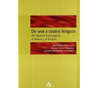 DE UNA A CUATRO LENGUAS: DEL ESPAÑOL AL PORTUGUÉS, AL ITALIANO Y AL FRANCÉS: Intercomprension romanica: del español al portugues, al italiano y al frances (Manuales y diccionarios)