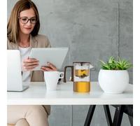 De Vidrio - Teta Grande Y Segura, Con Separación De Agua, Diseño De Mango De Madera, Cristalería Duradera Resistente Al Calor, Elegante | Solución De Servicio Moderna Para El