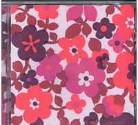 Dead C the - Future Artists