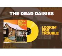 Dead Daisies - Rechercher les problèmes