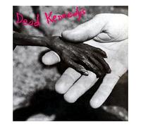 Dead Kennedys Plastic Surgery Disasters (Disco de vinilo)