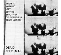 Dead Normal - There Is Nothing Left But The Enjoyment Of Senseless Destruction [Vinilo]