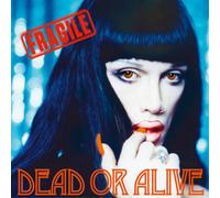 Dead Or Alive – Fragile – Vinilo 12" coloreado – Edición 20 aniversario