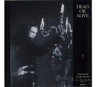 Dead Or Alive - Something in my house (1986) / Vinyl single [Vinyl-Single 7'']