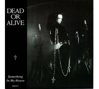Dead Or Alive - Something In My House [Vinyl Single]