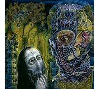 Dead Revolution