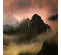 Dead to a Dying World - Elegy [VINYL] [Vinilo]