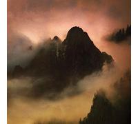 Dead to a Dying World - Elegy [VINYL] [Vinilo]