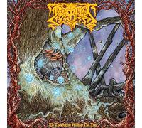 Deadbird - Iii: The Forest Within The Tree [Vinilo]
