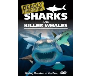 Deadly Predators - Sharks & Killer Whales [DVD] [2005] [Reino Unido]