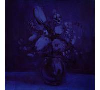 Deaf Wish - Lithium Zion [Vinilo]