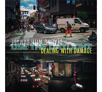 Dealing With Damage - Use The Daylight [Vinilo]