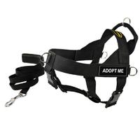 Dean and Tyler Bundle One DT Arnés Universal, Adopt Me, Mediano (26 a 32 Pulgadas) con una Correa Acolchada a Juego para Cachorros, Broche de Acero Inoxidable de 6 pies, Negro