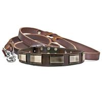 Dean and Tyler Bundle - One "White Light" Collar 56cm by 4cm With One Matching "Love To Walk" Leash, 183cm Stainless Steel Snap Hook - Brown