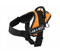 Dean & Tyler DT Fun I Am a Boy - Arnés con Ribete Reflectante, Talla L, Color Naranja