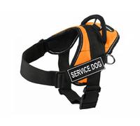 Dean & Tyler DT Fun Service - Arnés para Perro con Ribete Reflectante, Mediano, Naranja