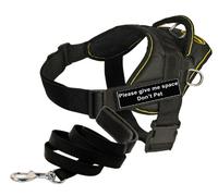 Dean & Tyler DT Fun Works Please Give Me Space Do Not - Arnés para Mascotas con Correa Acolchada para Cachorros, XXS, Negro