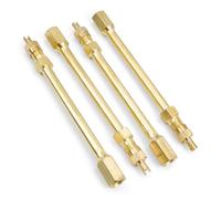 DEANKEJI 4 Piezas Alargador Valvula Neumatico, Prolongadores de Válvula de Latón, 10cm Adaptador de Válvula, Adecuado para Motocicletas, Bicicletas, Coches, Scooters Eléctricos