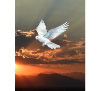 Dear God Prayer Journal - Sunset Mountain Dove: 100 Pages Christian Devotional Notebook with Dove Illustration & Mountain Sunset Cover Faith-Based Gift for Women & Teens