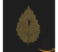 Dear John Letter - Between Leaves/Forestal [Import]