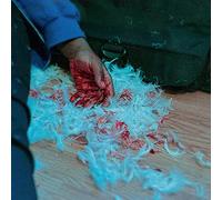 Dear Lemon House, You Ruined Me: Senior Year [Vinilo]