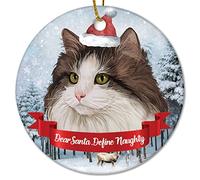 Dear Santa Define Naughty Christmas Hat Cat Christmas Ceramic Ornament Hello Winter Christmas Ornaments Custom Funny DIY Christmas Ornaments for Christmas Members 3 Inch