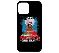 Dear Santa Define Naughty Irish Setter Dog Funny Christmas Carcasa para iPhone 12 Mini