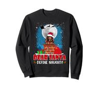 Dear Santa Define Naughty Irish Setter Dog Funny Christmas Sudadera