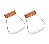 DEARMAMY 2 Jarrones de Vidrio Transparentes Tapón de Corcho, Mini Botellas para Micropaisajes y Suculentas, Terrarios Decorativos Pequeños para Jardín, Macetas Hidropónicas Compactas