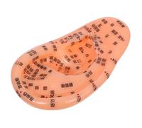 DEARMAMY De Acupuntura Auricular Realista Para Aprendizaje Simulación De Puntos Anatómicos Accesorio De Masaje Para Orejas Uso y Exhibición De Medicina