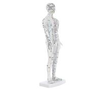 DEARMAMY Figura Masculina de Acupuntura en Plástico white para Enseñanza y Masajes Puntos de Meridianos, Adecuada para Aulas y Prácticas Profesionales