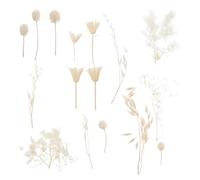 DEARMAMY Kit de Flores Secas Naturales para Manualidades DIY Material para Hacer a Mano Flores Prensadas para Decoración y Cuadros para Hogar y Bricolaje