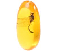 DEARMAMY Muestra de Insecto en Resina Libélula 8x4 Cm, Espécimen Fósil Decorativo para Educación Científica y Colección, Adorno Natural para Exhibición y Estudio