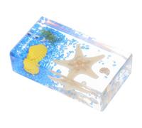 DEARMAMY Pisapapeles Didáctico de Resina Forma de Estrella de Mar, Espécimen Oceánico de 7.3 Cm Tamaño Medio, Colección Educativa para Aprendizaje y Decoración Científica