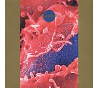 Death Ambient - Synaesthesia