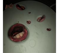 Death Grips Year of the Snitch (CD) Album