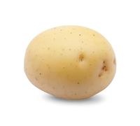 Debaere - Colomba 60 Plantas de patata