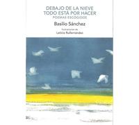 DEBAJO DE LA NIEVE TODO ESTÁ POR HACER