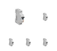 DEBFLEX - Disyuntor 20A Fase + Neutro 3KA - Módulo Cortocircuitos - Certificado NF - Instalación en Cuadro Eléctrico - Gris (Paquete de 5)